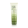Sampon hidratant pentru par uscat si deteriorat Giovanni 2Chic Ultra-Moist Shampoo 250ml